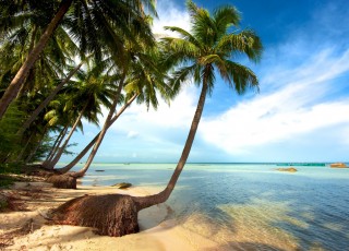 THE SOUTHERN RHYTHM & SUN-KISSED COASTLINE: AN 8-DAY IMMERSIVE EXPEDITION from only 485 USD/person only